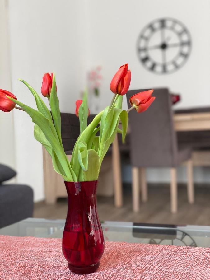 Hotel Am Schlosspark Mallin Екстериор снимка